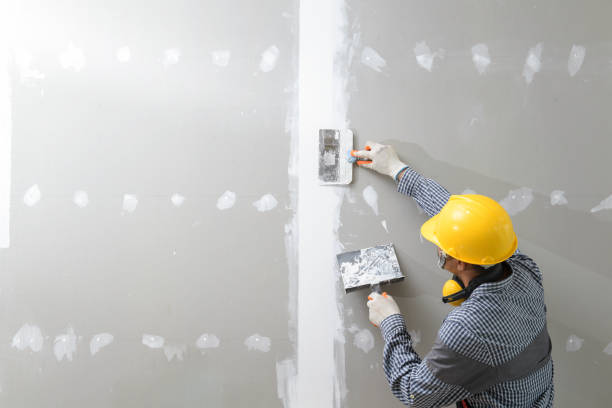 Professional Drywall & Painting Services in Highland, IL